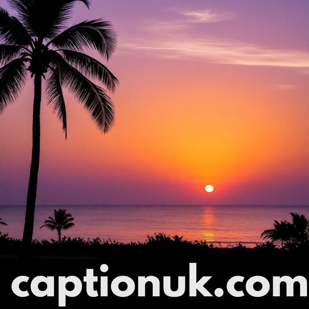 Top Sunset Captions For Instagram